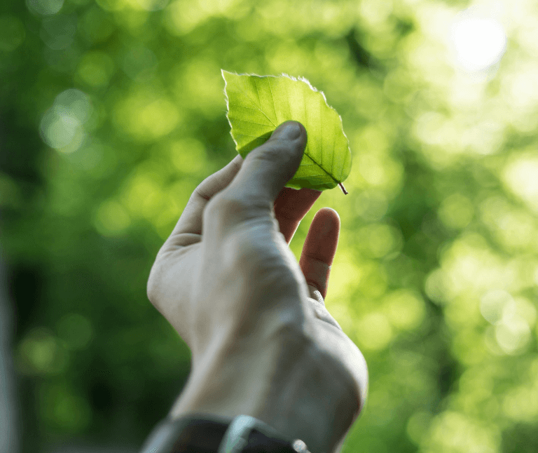 Articolo_Sustainability